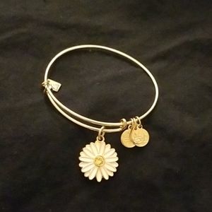 Alex and Ani